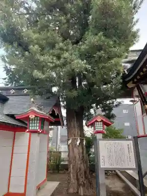 御嶽神社(埼玉県)