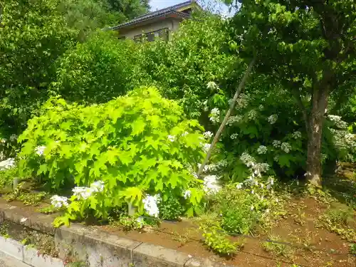 東慶寺の庭園