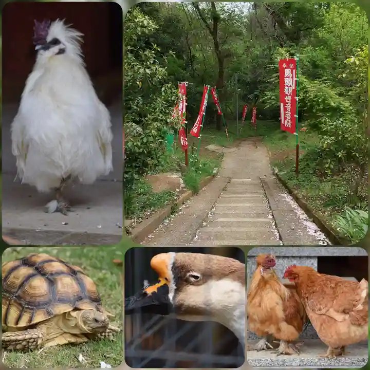 観音寺(神奈川県)