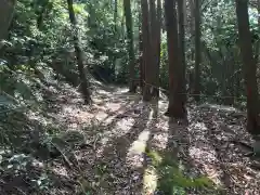 荒磯魚見根神社の自然