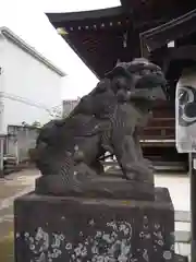 白山神社の狛犬