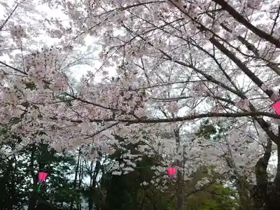 厳島神社(広島県)