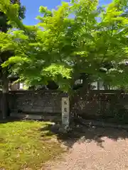 春日神社(福井県)