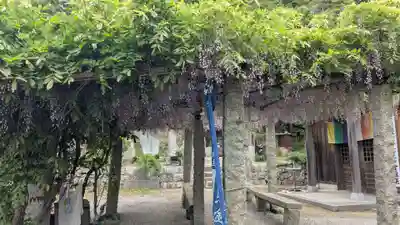 甘露庵(香川県)