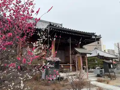 蓮花寺(大阪府)