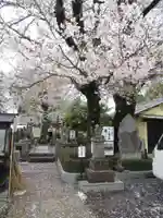 真光寺(千葉県)