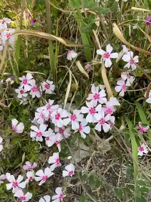 八事山 興正寺(愛知県)
