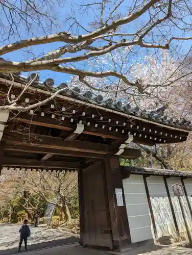 龍安寺(京都府)