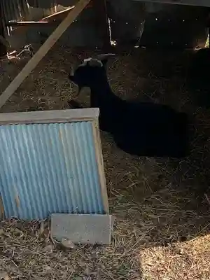 賀茂別雷神社(栃木県)