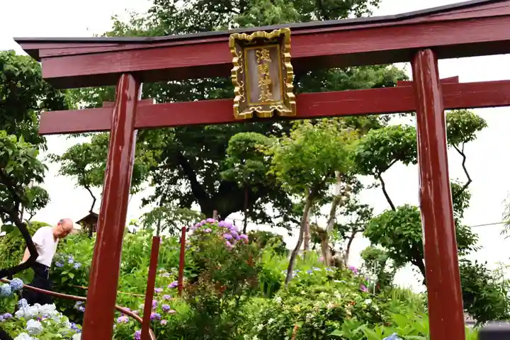 白山神社(東京都)