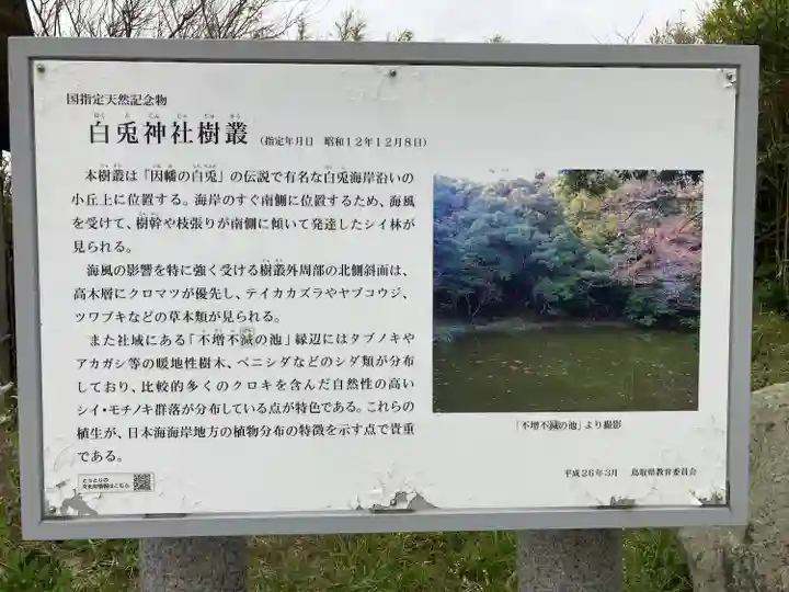 白兎神社の歴史