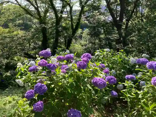 天台宗　長窪山　正覚寺(神奈川県)