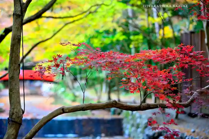小國神社(静岡県)