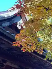 北口本宮冨士浅間神社(山梨県)