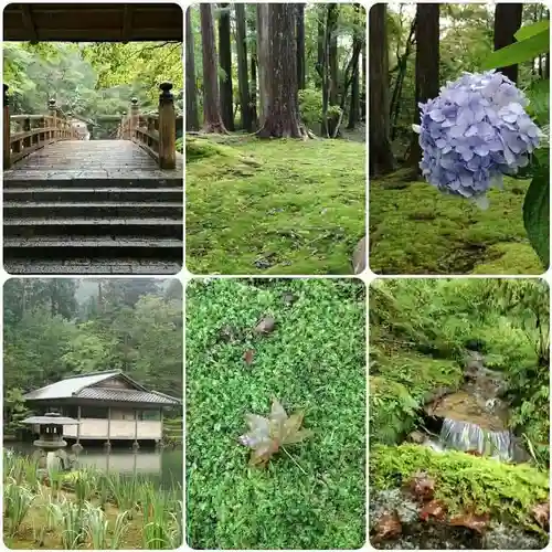 古峯神社の庭園