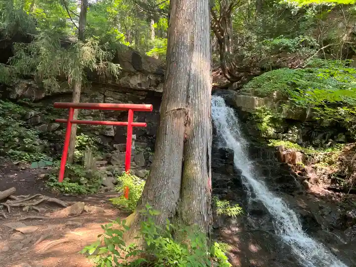 母の白滝神社の鳥居