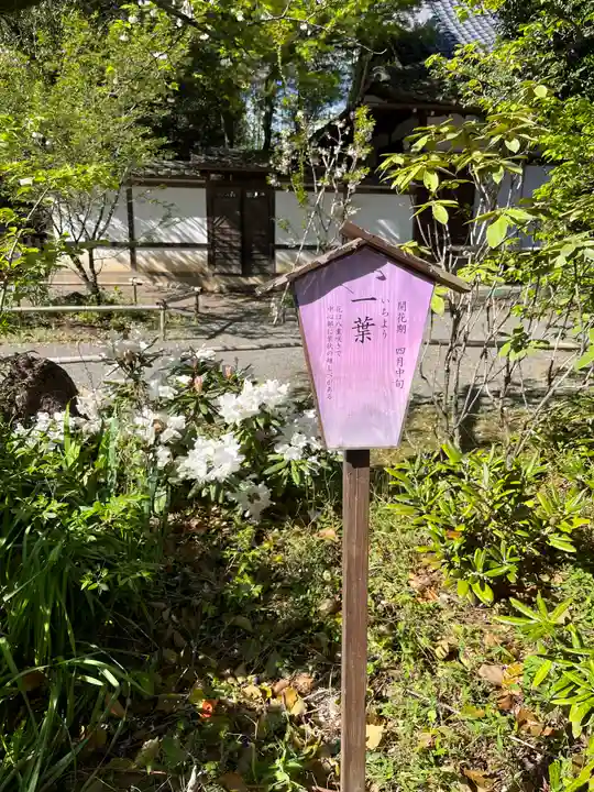 平野神社(京都府)