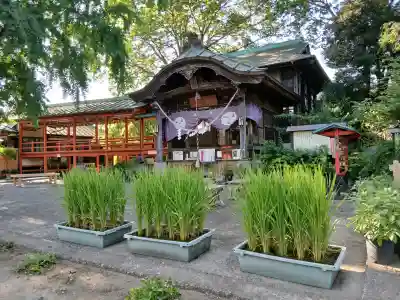 水海道鎮守 八幡神社(茨城県)