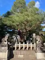 北野天満宮(京都府)