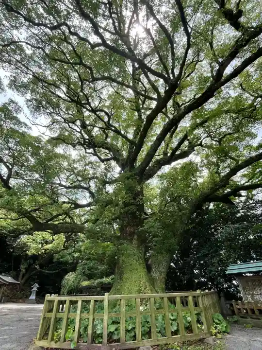 高良大社(福岡県)