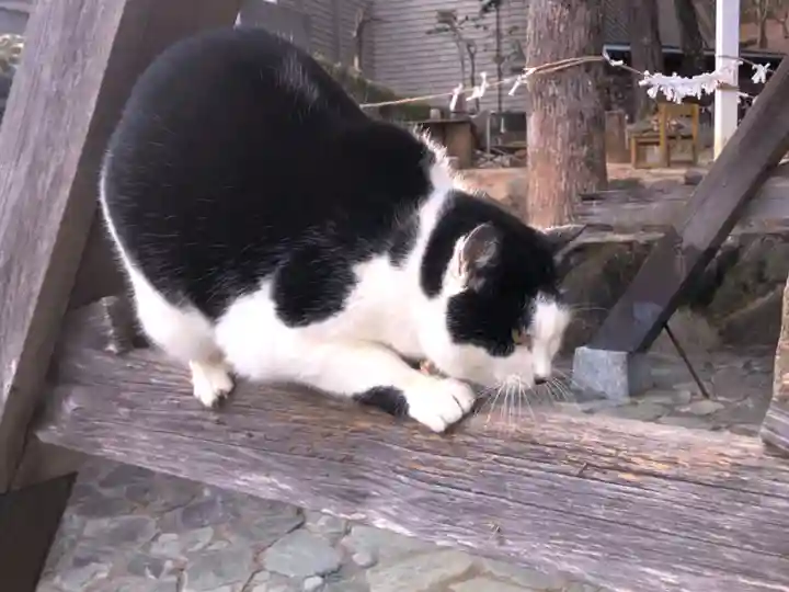 王子神社の動物