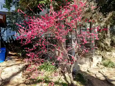一山神社(埼玉県)