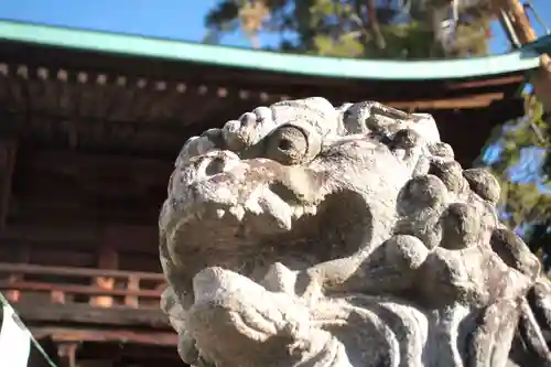 住吉神社の狛犬