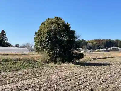 國津神社(奈良県)
