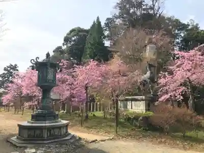 施福寺(大阪府)