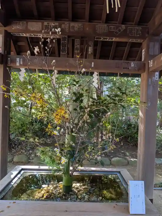 赤坂氷川神社(東京都)