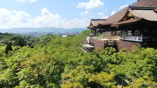 清水寺の景色