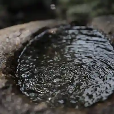 冠稲荷神社の手水舎