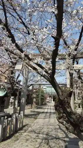 白山神社（榎白山神社）の庭園