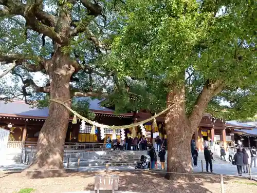 明治神宮(東京都)