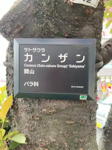 桜神宮(東京都)