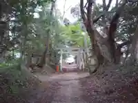 八王子神社の鳥居