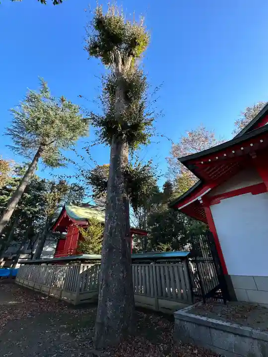 小野神社(東京都)