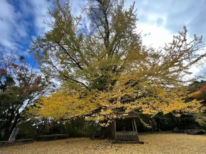 大山寺(徳島県)