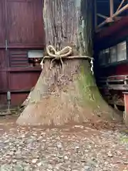 北口本宮冨士浅間神社(山梨県)