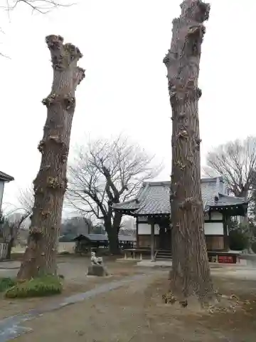 八坂神社の本殿・本堂