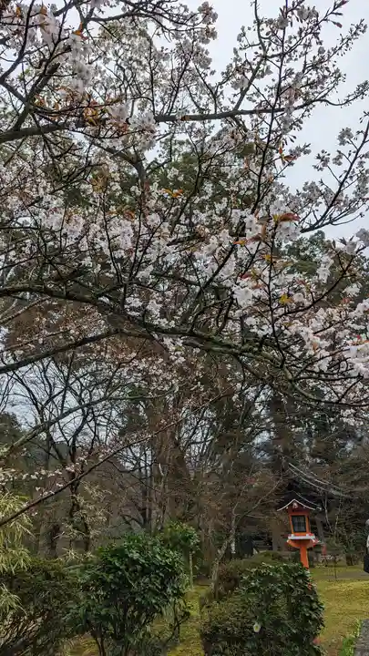 十輪寺(京都府)