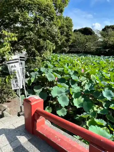 旗上弁財天社(神奈川県)