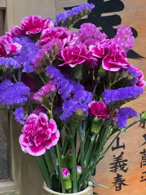 須山浅間神社(静岡県)