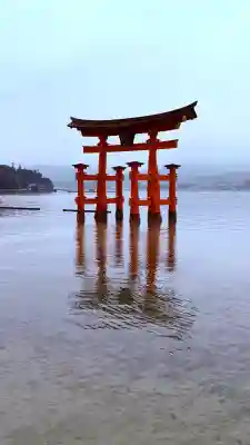 厳島神社の{uncategorized: "未分類", other: "その他", undefined: "問題あり", building: "その他建物", grave: "お墓", sacred_gate: "鳥居", guardian: "狛犬", statue: "像", buddha: "仏像", history: "歴史", nature: "自然", garden: "庭園", animal: "動物", pagoda: "塔", temizu: "手水舎", mountain_gate: "山門・神門", sanctuary: "本殿・本堂", subordinate: "末社・摂社", art: "芸術", scenery: "景色", jizo: "地蔵", ema: "絵馬", goshuin: "御朱印", omikuji: "おみくじ", items: "授与品その他", amulet: "お守り", goshuincho: "御朱印帳", eats: "食事", festival: "お祭り", votive_dance: "神楽", shichigosan: "七五三参", wedding: "結婚式", experience: "体験その他", initially: "初詣", around: "周辺", anti_infection: "感染症対策"}