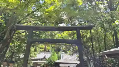 野宮神社(京都府)