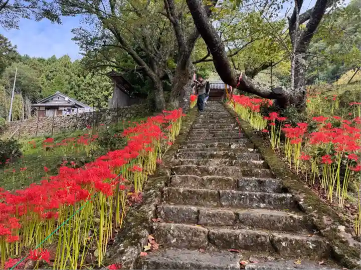 仏隆寺(奈良県)