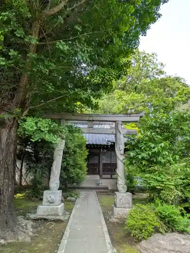 高円寺(東京都)