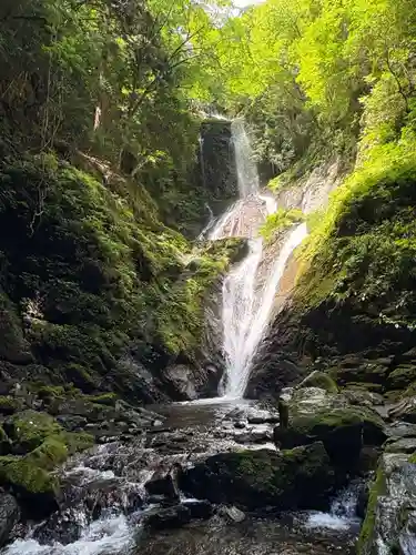 悲願寺(徳島県)