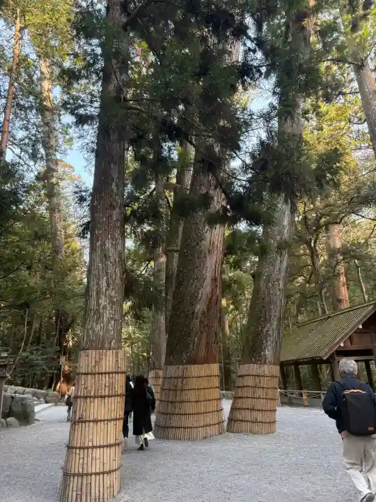 伊勢神宮内宮(皇大神宮)の{uncategorized: "未分類", other: "その他", undefined: "問題あり", building: "その他建物", grave: "お墓", sacred_gate: "鳥居", guardian: "狛犬", statue: "像", buddha: "仏像", history: "歴史", nature: "自然", garden: "庭園", animal: "動物", pagoda: "塔", temizu: "手水舎", mountain_gate: "山門・神門", sanctuary: "本殿・本堂", subordinate: "末社・摂社", art: "芸術", scenery: "景色", jizo: "地蔵", ema: "絵馬", goshuin: "御朱印", omikuji: "おみくじ", items: "授与品その他", amulet: "お守り", goshuincho: "御朱印帳", eats: "食事", festival: "お祭り", votive_dance: "神楽", shichigosan: "七五三参", wedding: "結婚式", experience: "体験その他", initially: "初詣", around: "周辺", anti_infection: "感染症対策"}