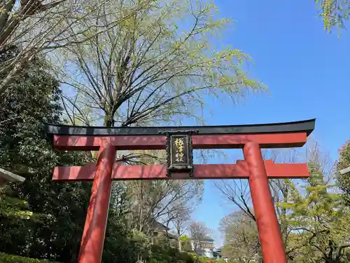 根津神社の鳥居